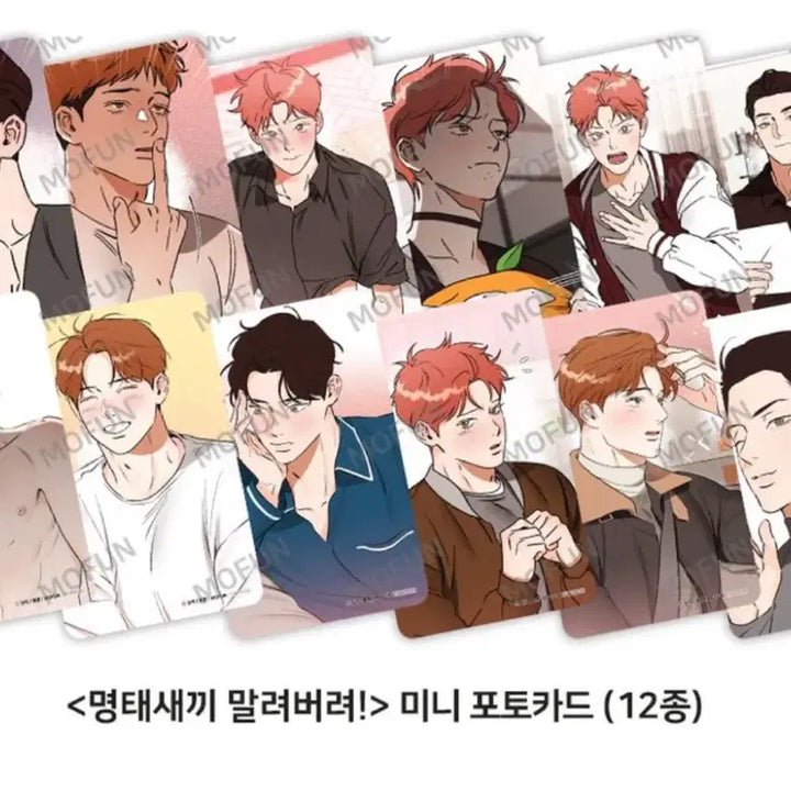 [BUNJANG] Dried Pollock Kid 12-Piece Set / 명태새끼 말려버려 12장 세트