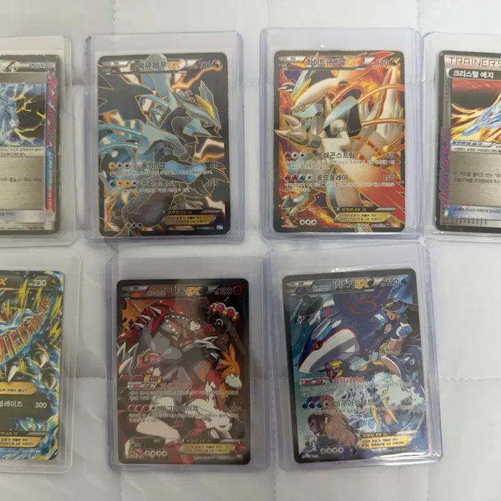 [BUNJANG] Pokemon Cards Bundle Set - Black Kyurem SR, White Kyurem EX, Charizard EX, Groudon EX, Kyogre EX / 블랙,화이트 큐레무sr , 리자몽,그란돈,가이오가 일괄 판매
