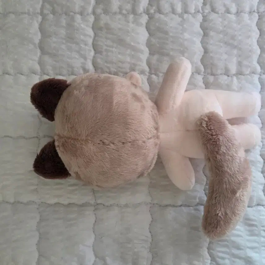 [BUNJANG] 15cm Unofficial Cotton Doll Jam Toast / 15cm 무속성 솜인형 잼토스트 솜깅