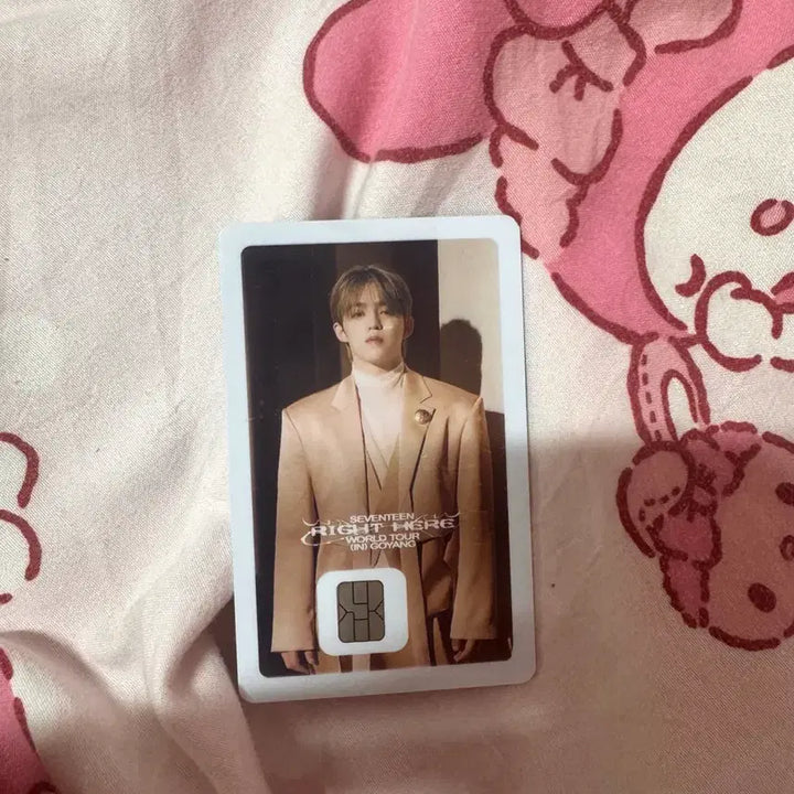 [BUNJANG] S.Coups Namane Card / 에스쿱스 나마네카드