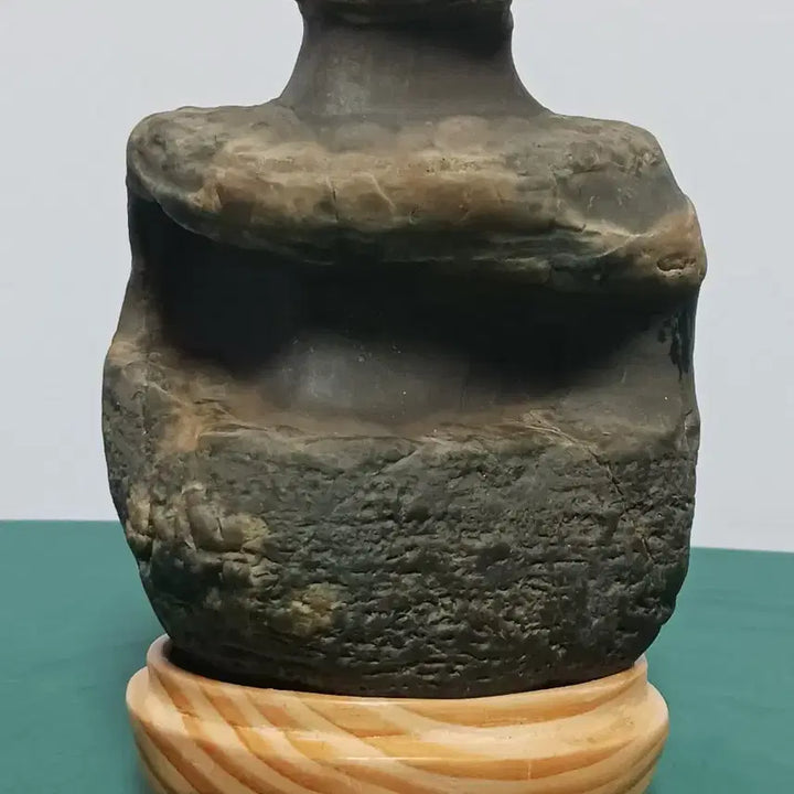 [BUNJANG] Unique Natural Stone Sculpture (Fossilized Wood) / 수석(변화석)