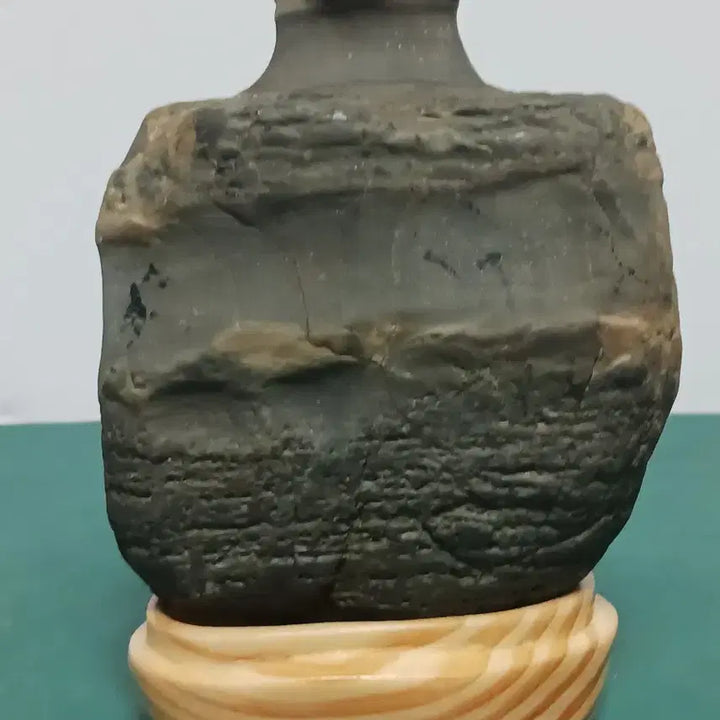 [BUNJANG] Unique Natural Stone Sculpture (Fossilized Wood) / 수석(변화석)