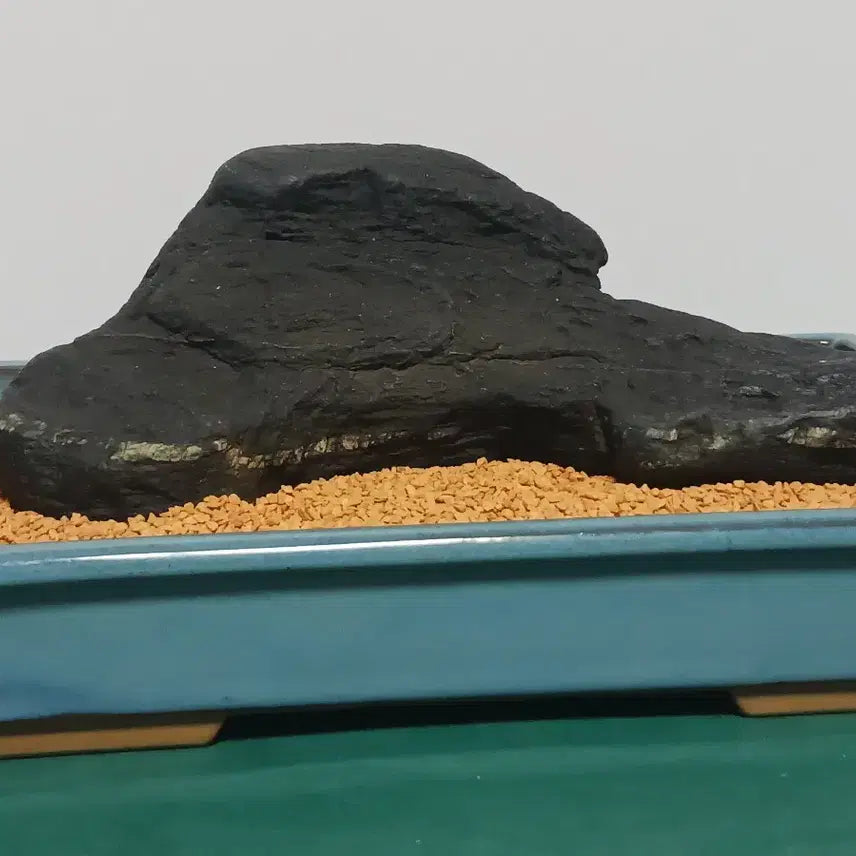 [BUNJANG] Seoseok (Rocky Shorestone) / 수석(갯바위경)