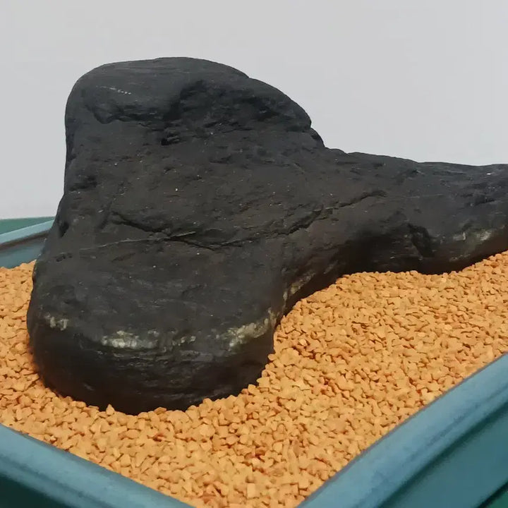 [BUNJANG] Seoseok (Rocky Shorestone) / 수석(갯바위경)