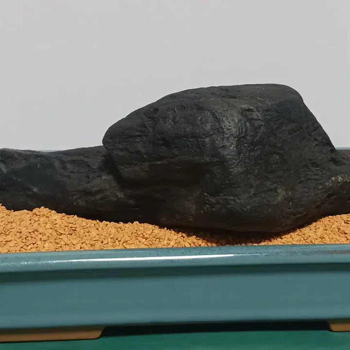 [BUNJANG] Seoseok (Rocky Shorestone) / 수석(갯바위경)