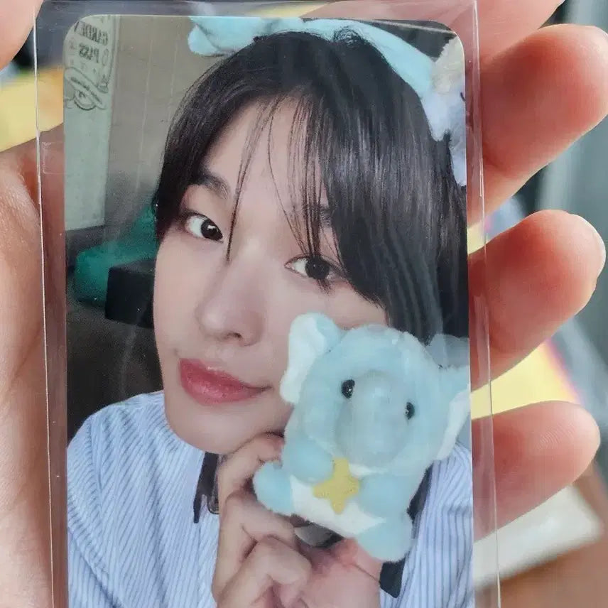 [BUNJANG] Everland Everwish Riku Photocard / 택포 에버랜드 입장 포카 에버위시 리쿠