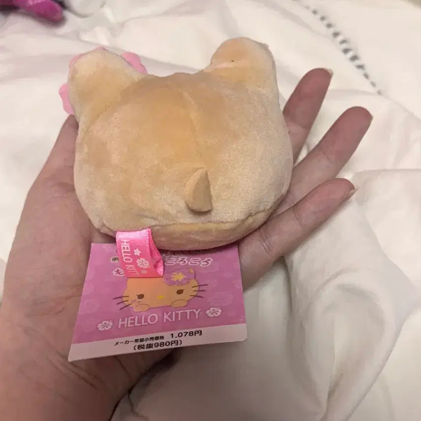 [BUNJANG] Sanrio Tanning Kitty Mochi Plush Doll / 산리오 태닝 키티 인형 모찌 태닝 키티 쯔무 인형