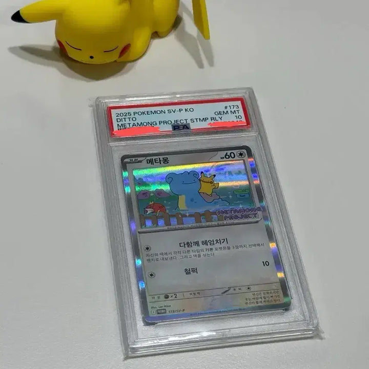 [BUNJANG] Pokemon Metamon Promo Card PSA 10 (Jamsil) / 포켓몬카드 메타몽프로모 PSA 10 (잠실)