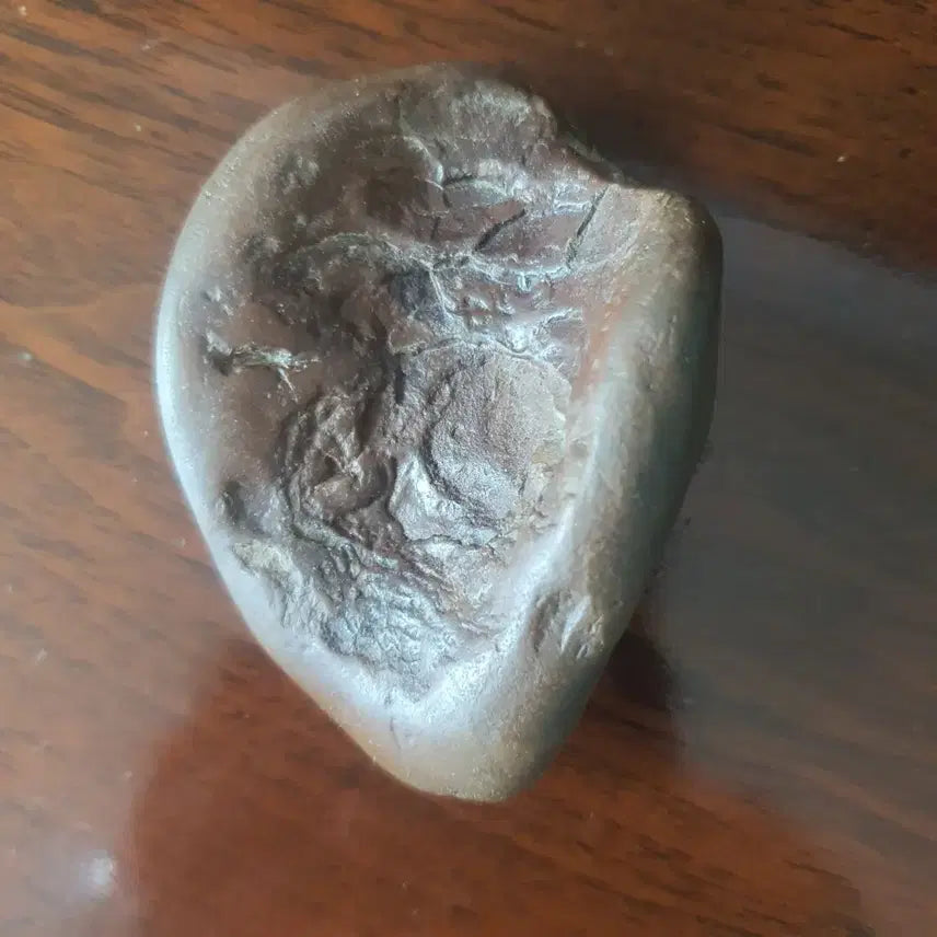 [BUNJANG] Dinosaur Skin Fossil (Bezoar) / 공룡피부조직화석(위석) AI