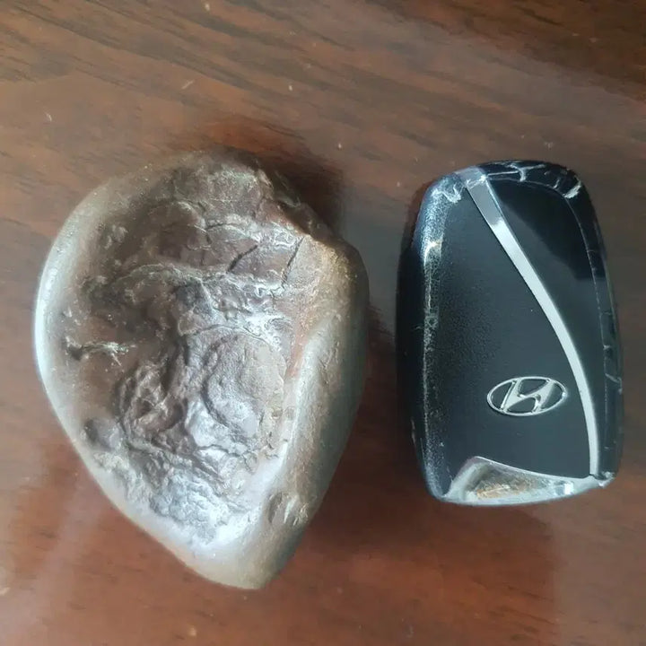 [BUNJANG] Dinosaur Skin Fossil (Bezoar) / 공룡피부조직화석(위석) AI