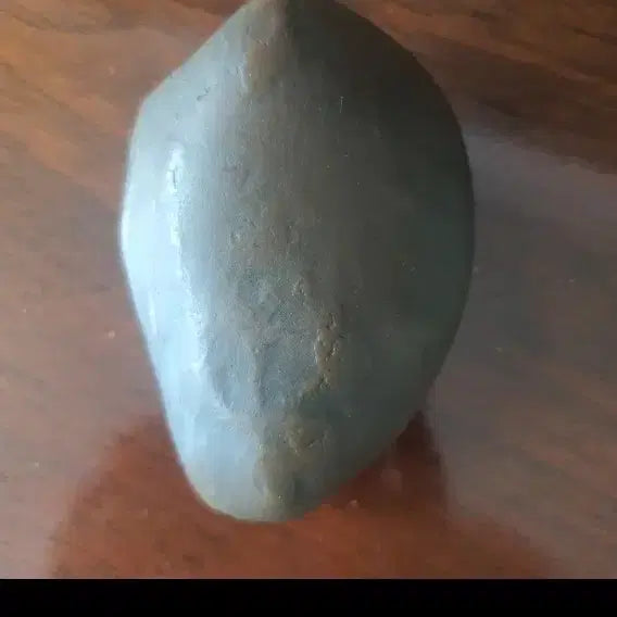 [BUNJANG] Dinosaur Skin Tissue Fossil (Bezoar) / 공룡피부조직화석(위석) AI