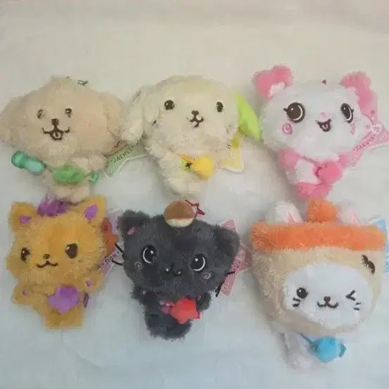 [BUNJANG] NCT WISH Sicheng Crowny Bear Cury Bubble Cat Dengtreeber Ryoryong Pangi Bundle Set / 가격인하세일))엔시티위시 위시돌 시오닝 쿠리 버블냥 댕트리버 룐룐 팡이 일괄