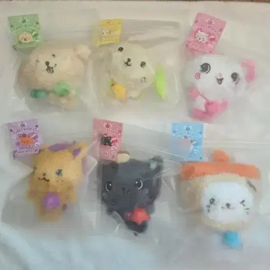[BUNJANG] NCT WISH Sicheng Crowny Bear Cury Bubble Cat Dengtreeber Ryoryong Pangi Bundle Set / 가격인하세일))엔시티위시 위시돌 시오닝 쿠리 버블냥 댕트리버 룐룐 팡이 일괄