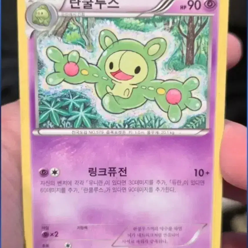 [BUNJANG] Pokemon Card - Xerneas XY10 / 포켓몬카드 란쿨루스 XY10