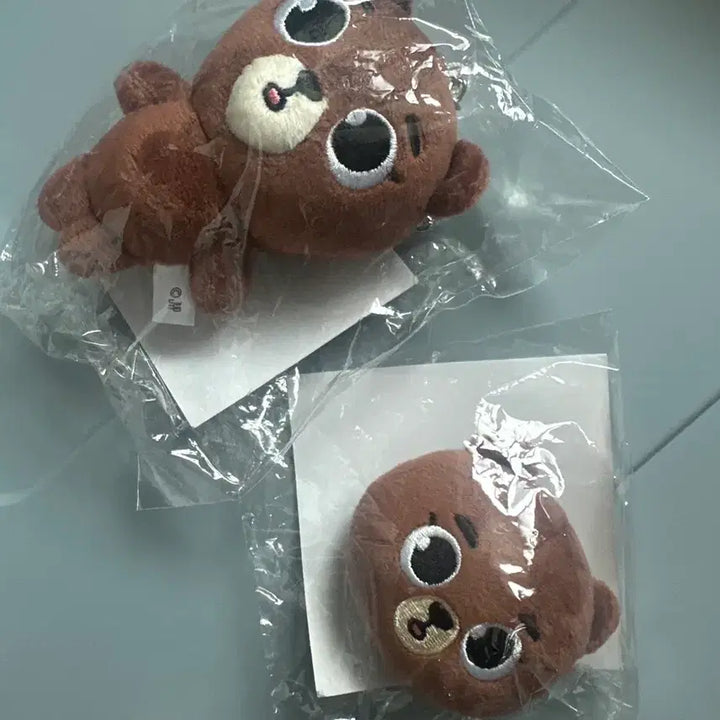[BUNJANG] Day6 Sungjin Yokohama MD Bundle Set / 원가이하)데이식스 성진 요코하마 엠디 일괄