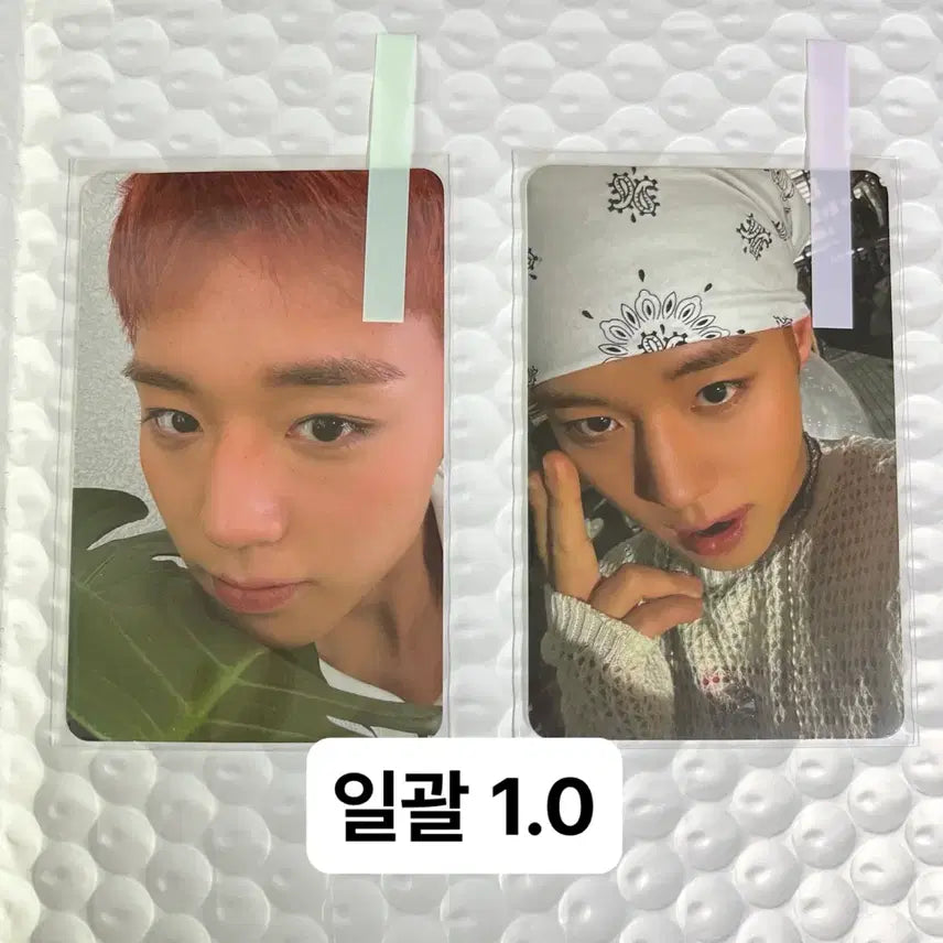 [BUNJANG] Park Jihoon Reflect Album Bundle Set Photocard / 박지훈 리플렉트 앨범 포토카드 나뭇잎 반다나 일괄