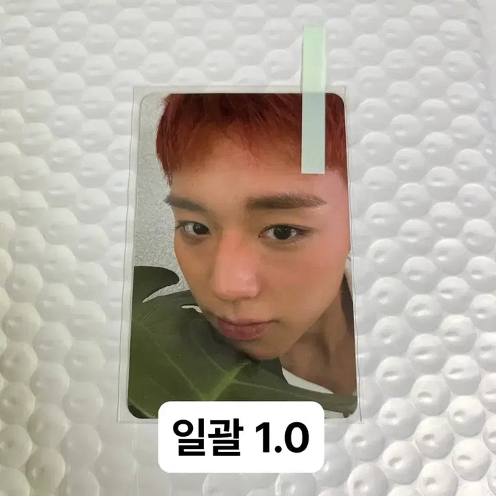 [BUNJANG] Park Jihoon Reflect Album Bundle Set Photocard / 박지훈 리플렉트 앨범 포토카드 나뭇잎 반다나 일괄