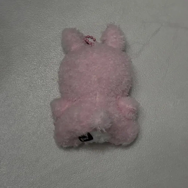 [BUNJANG] DAY6 Denimals Petitmalls Seated Doll (Young K) / 데이식스 데니멀즈 쁘띠멀즈 앉은 필 인형