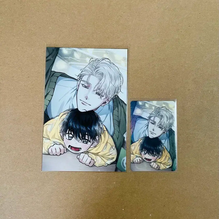 [BUNJANG] Toonique Blue Shore Blue Shore Underneath 5th Special Postcard Photocard Bundle Set / 투니크 푸른뭍 푸른뭍아래로 5특 엽서 포토카드