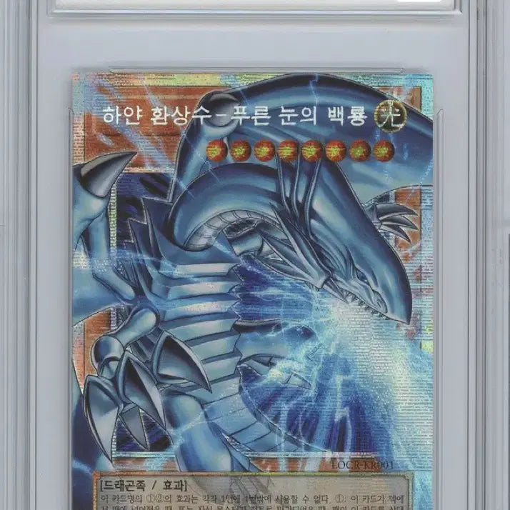 [BUNJANG] Yu-Gi-Oh! Blue-Eyes White Dragon Overstreet PSA 9 Card / 유희왕 푸른 눈의 백룡 오버프싴 brg9