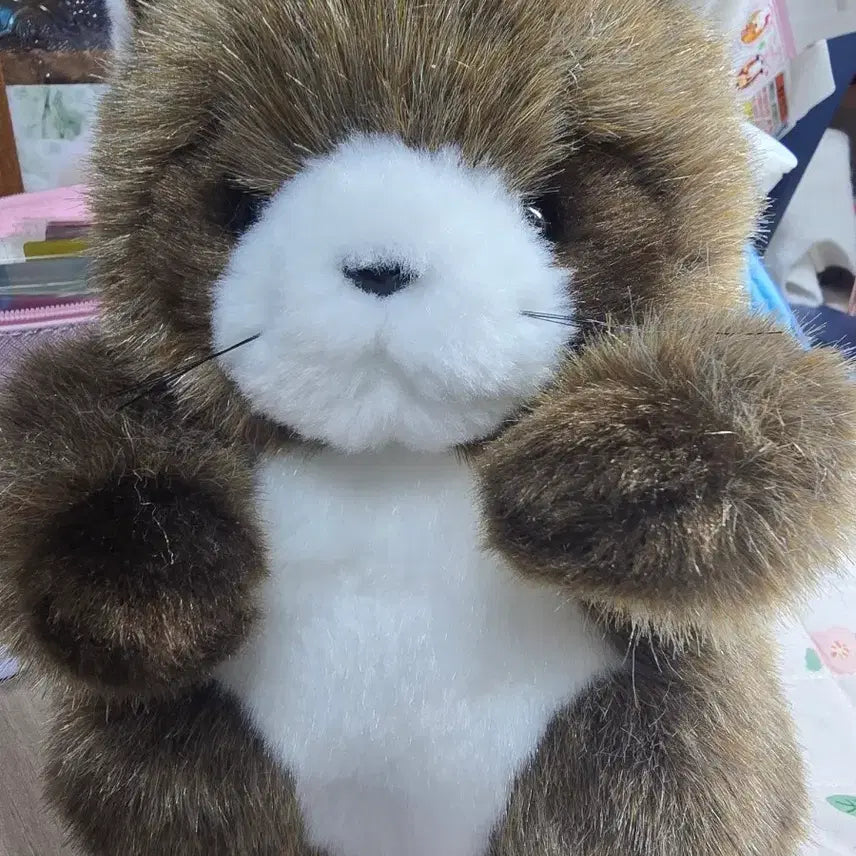 [BUNJANG] Joyfulmate Raccoon Plush Doll / 조이풀메이트 너구리 인형
