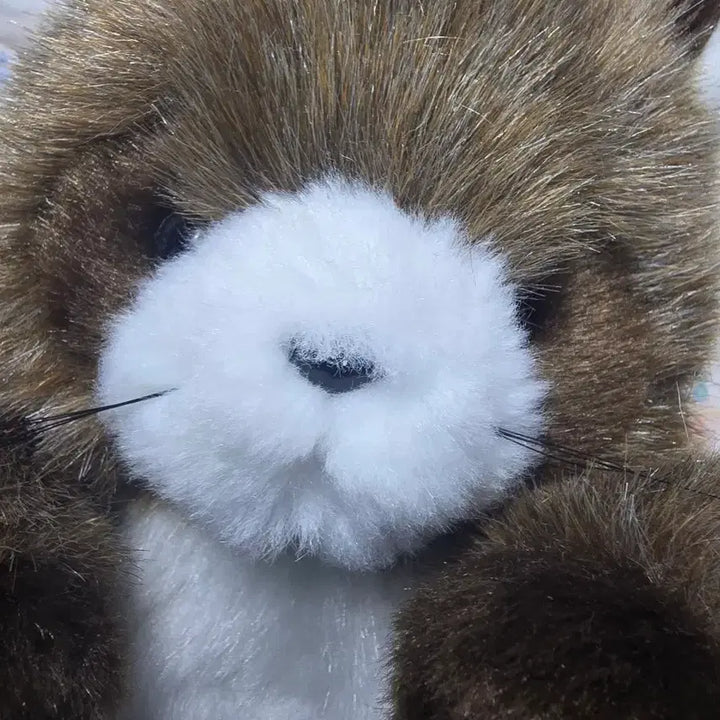 [BUNJANG] Joyfulmate Raccoon Plush Doll / 조이풀메이트 너구리 인형