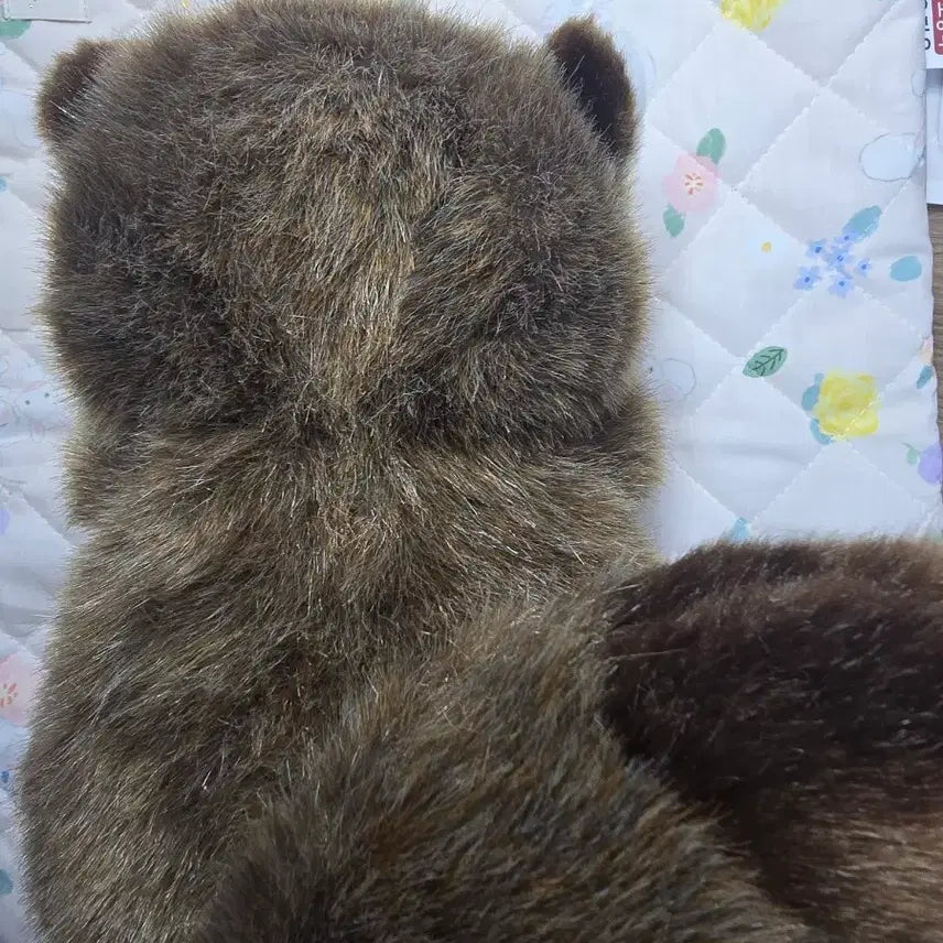 [BUNJANG] Joyfulmate Raccoon Plush Doll / 조이풀메이트 너구리 인형