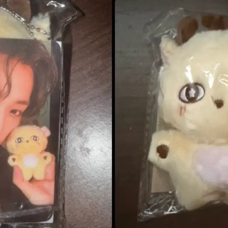 [BUNJANG] Park Ji Hoon &