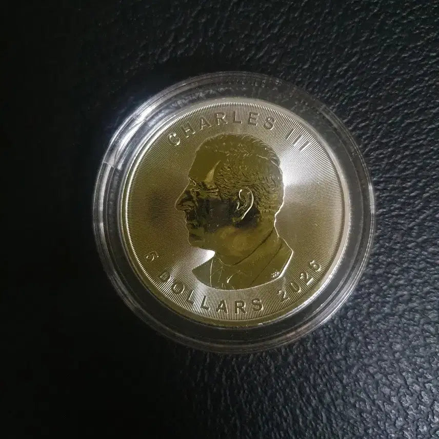 [BUNJANG] 2026 Canada Maple Leaf 1 oz Silver Coin / 26년 캐나다 메이플 1온스 은화