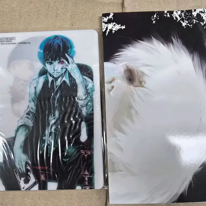 [BUNJANG] Tokyo Ghoul Exclusive Poster &amp; Photo Book Set (Sealed) / 도쿄구울 특전 굿즈  미개봉