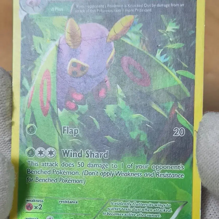 [BUNJANG] Pokemon Cards - Japanese &amp; English Versions / 포켓몬카드 일판 북미판 판매합니다