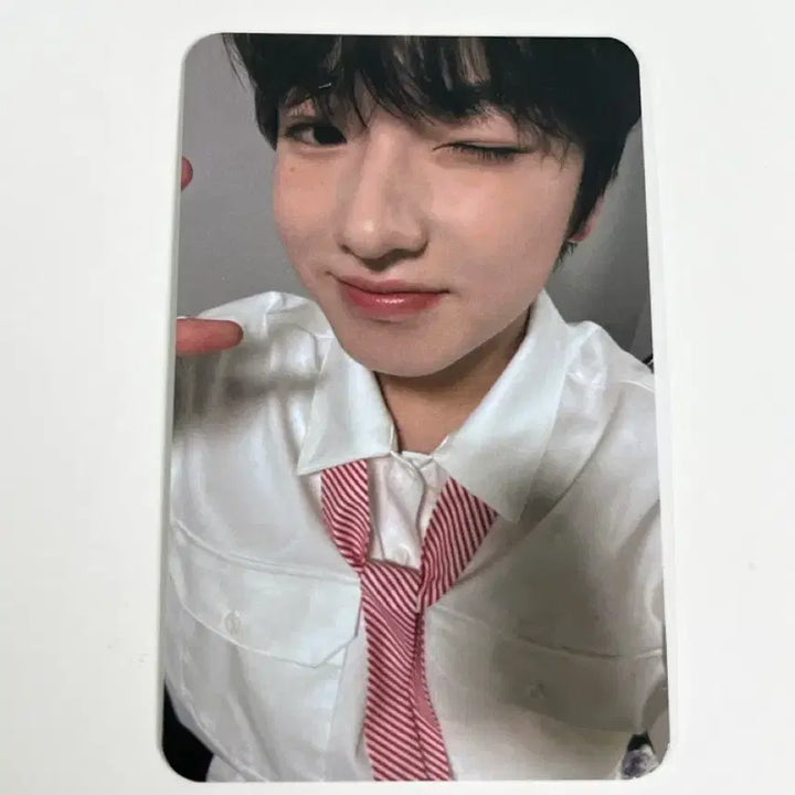 [BUNJANG] NCT WISH Songbird Sakuya All MD Photocard / 엔시티 위시 송버드 사쿠야 올엠디 포카