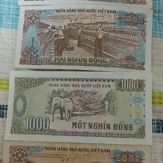 [BUNJANG] Vietnam 1000 Dong &amp; 2000 Dong Banknotes (4 pcs) / 베트남 2000동 / 1000동 지폐 4장