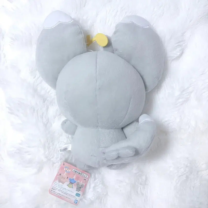 [BUNJANG] Banpresto Chirami Doll / 최저가) 포켓몬 치라미 인형