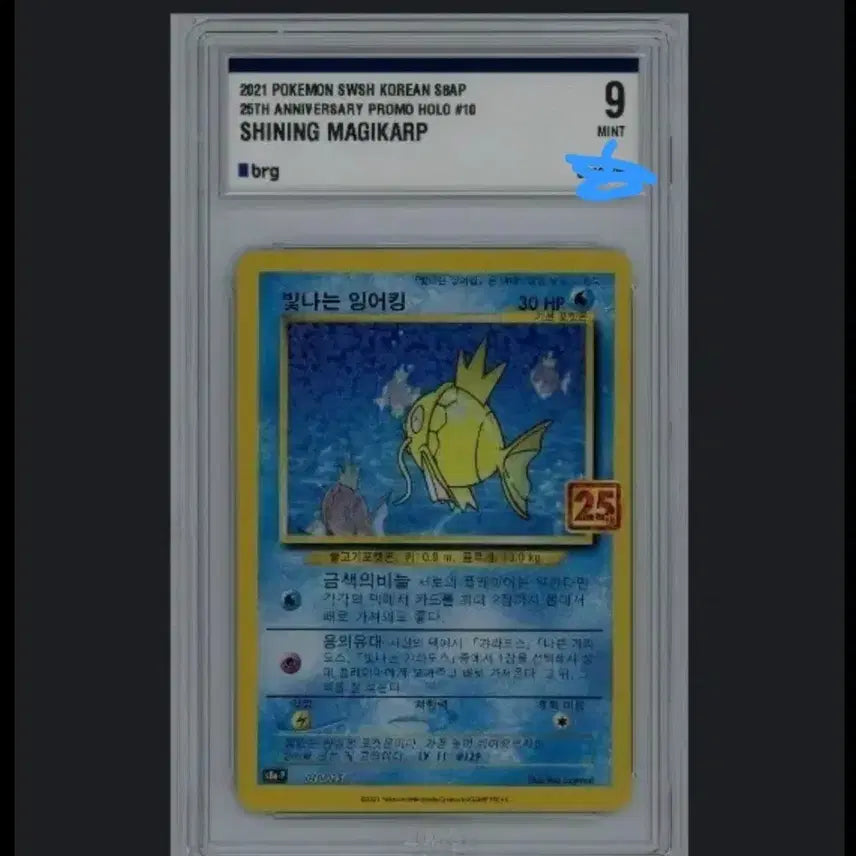 [BUNJANG] Pokemon 25th Anniversary Magikarp Holo Card / 포켓몬 카드 잉어킹 25주년 팝니다  이번주만이가격