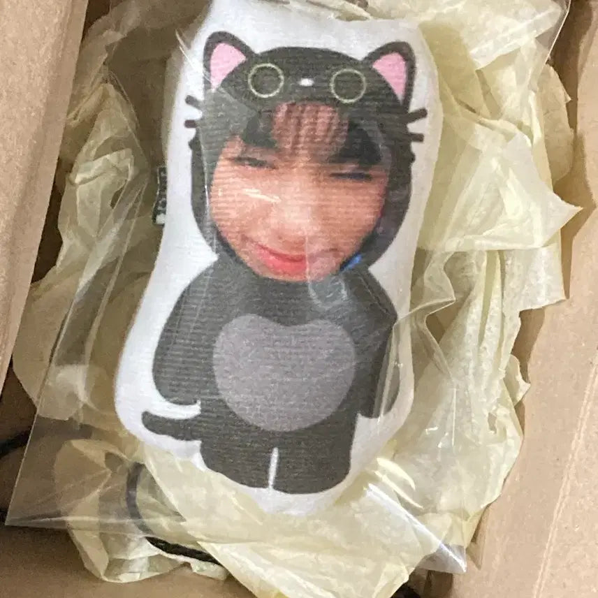 [BUNJANG] BOYNEXTDOOR Taesan Cat Plush Doll / 보이넥스트도어 보넥도 태산 인형 양도