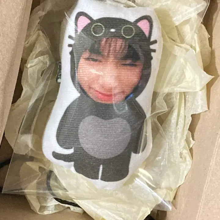 [BUNJANG] BOYNEXTDOOR Taesan Cat Plush Doll / 보이넥스트도어 보넥도 태산 인형 양도