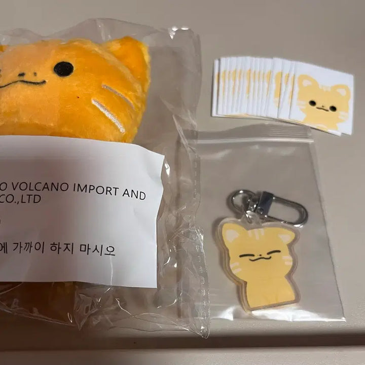 [BUNJANG] Sealed Bundle Set / 꼬양이 미개봉 새상품