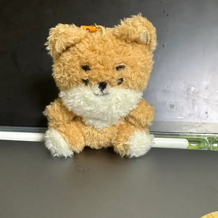 [BUNJANG] Day6 Young K Seated Doll / 데이식스 영케이 앉은케 인형