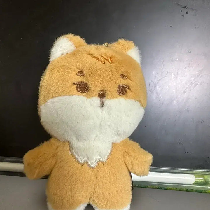 [BUNJANG] DAY6 Young K Petit K Doll / 데이식스 영케이 쁘띠케 인형