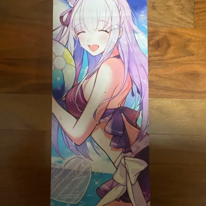 [BUNJANG] Re:Zero Emilia Swimsuit Scroll Poster + Cushion Set / 리제로 에밀리아 수영복 족자봉+에밀리아 쿠션