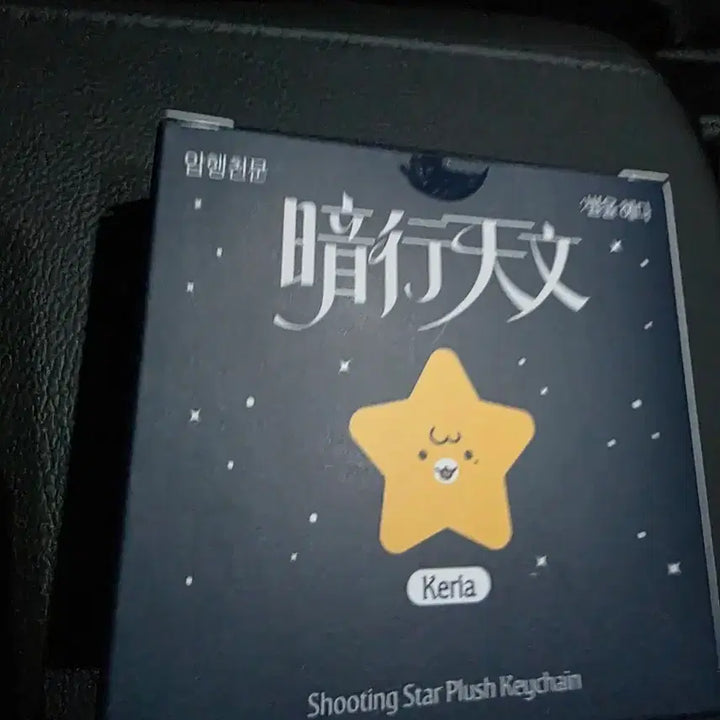 [BUNJANG] T1 Faker Keria Amhaeng Cheonmun Star Plush Keychain / T1 티원 팝업 암행천문 별 인형 키링 케리아 KERIA