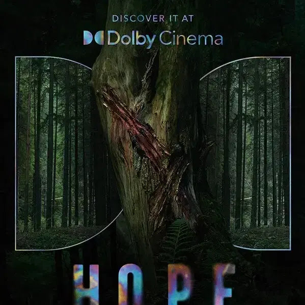 [BUNJANG] J-Hope Original Ticket + Dolby Poster + Special Teaser Poster / 호프 오티 + 돌비 + 티저 포스터