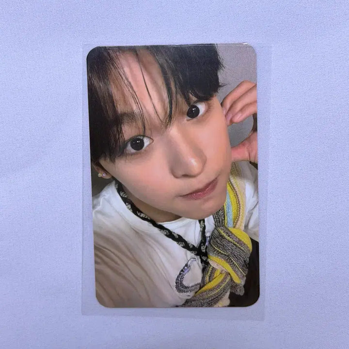 [BUNJANG] NCT WISH Riku Songbird Lucky Draw Photocard / 엔시티위시 송버드 리쿠 올엠디 럭드 럭키드로우 포카