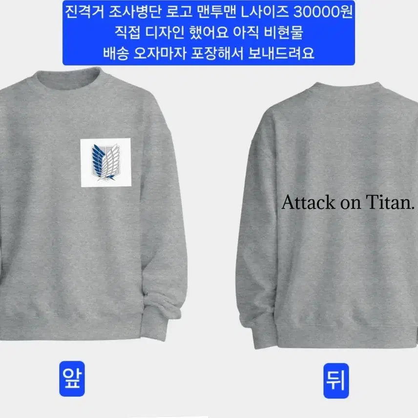 [BUNJANG] Attack on Titan Survey Corps Sweatshirt L / 진격의 거인 진격거 조사병단 맨투맨 L