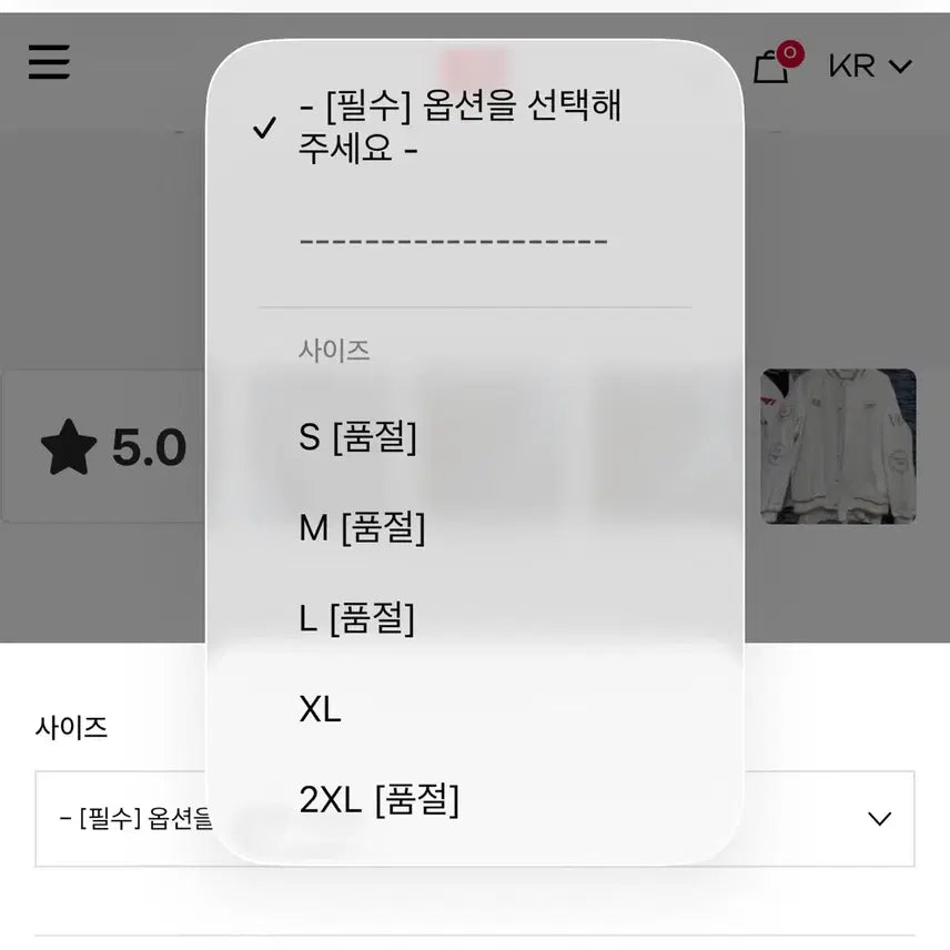 [BUNJANG] T1 2025 Worlds Jacket (L Size) / [공식 정품/L사이즈 품절] 2025 월즈 우승 자켓 (실착 2회 S급)