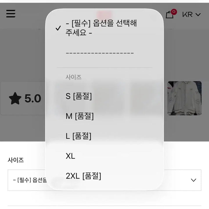 [BUNJANG] T1 2025 Worlds Jacket (L Size) / [공식 정품/L사이즈 품절] 2025 월즈 우승 자켓 (실착 2회 S급)
