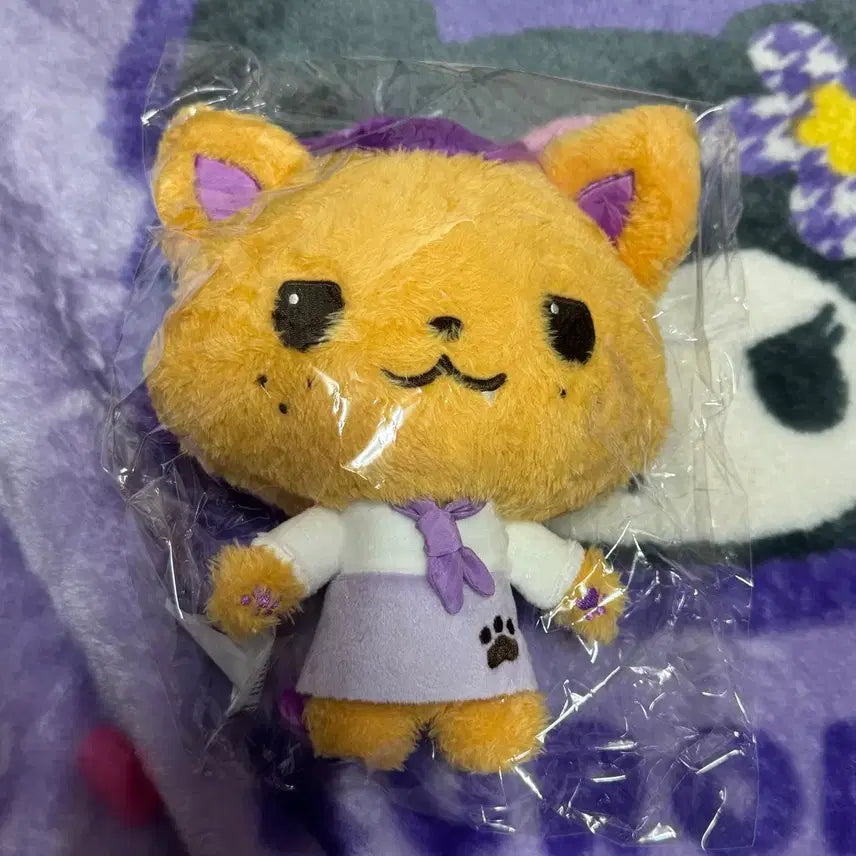[BUNJANG] NCT WISH Sicheng (Sion) Patissier Wish Bakery Wish Doll Photocard Holder / 엔시티위시 위시베이커리 파티시에 위시돌 시오닝 시온