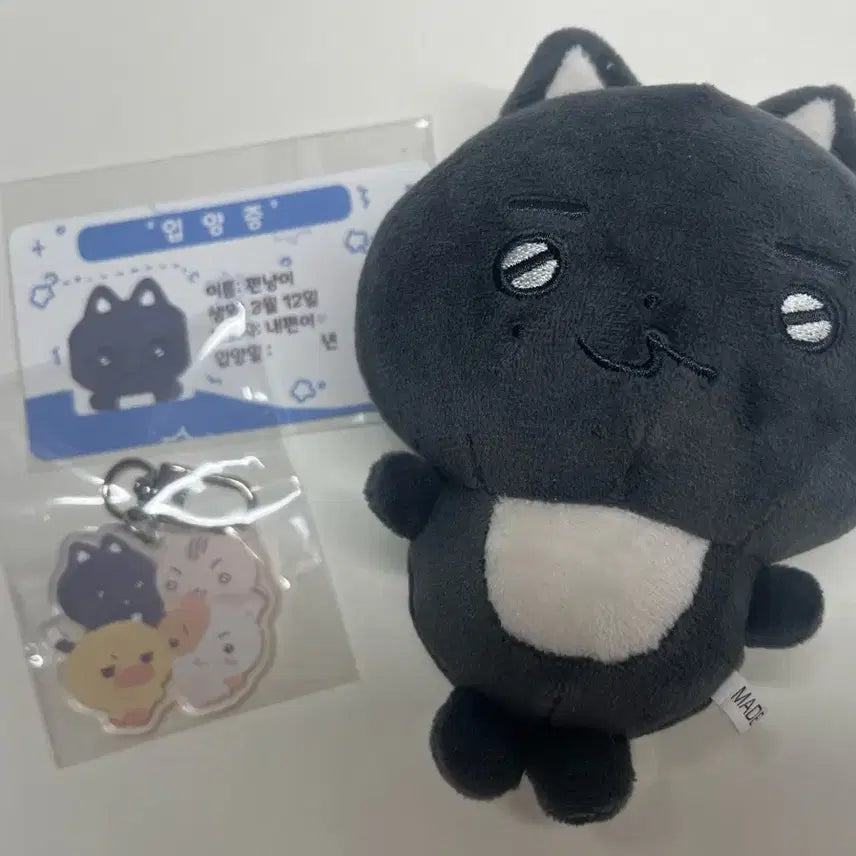 [BUNJANG] DragonPony Park Sung Hyun Cat Ver. Plush / 드포니즈 편성현 편냥이 드래곤포니 드포 양도합니다