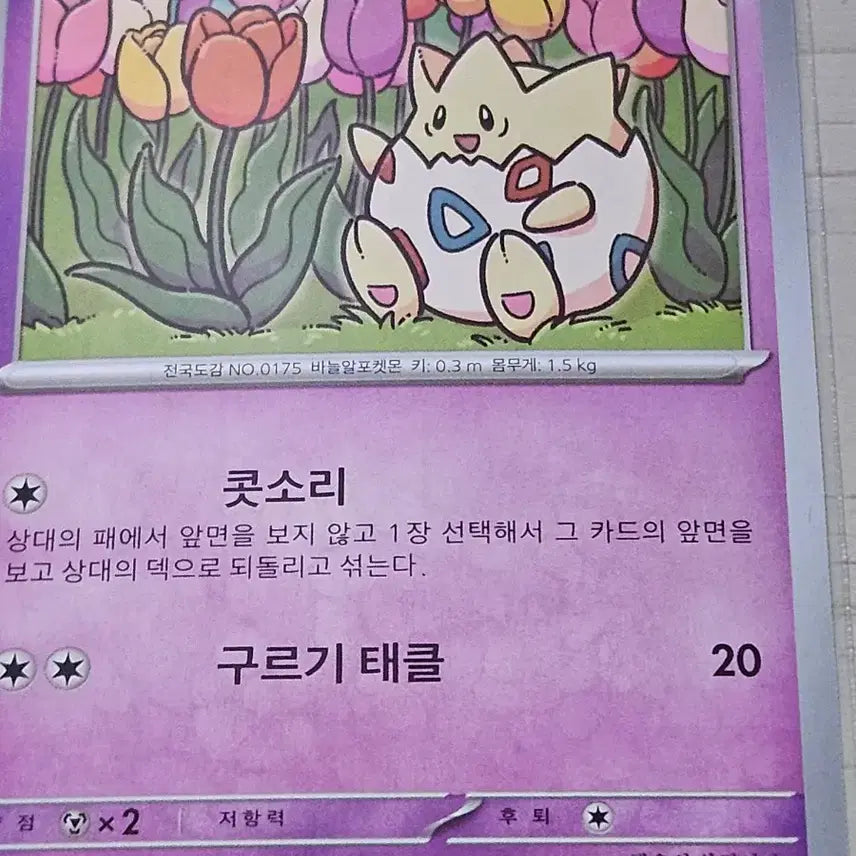 [BUNJANG] Pokemon Togepi Trading Card / [최저가] 포켓몬카드 토게피